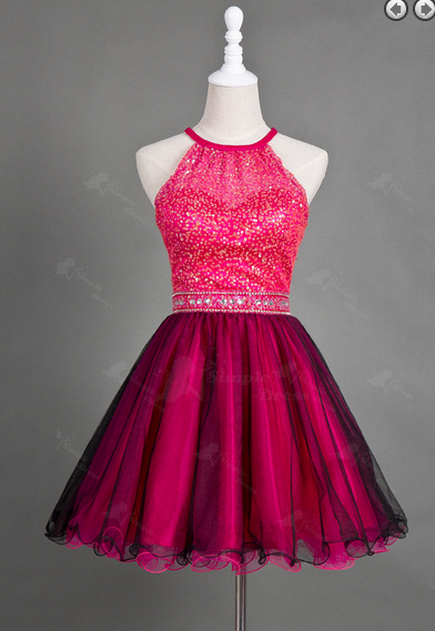 Charming Prom Dress, Sparkly Beaded Prom Dress, Tulle Prom Dress, Short ...